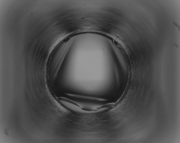 X0000092311333200710051231