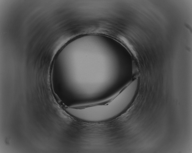 X0000092311336200710051231