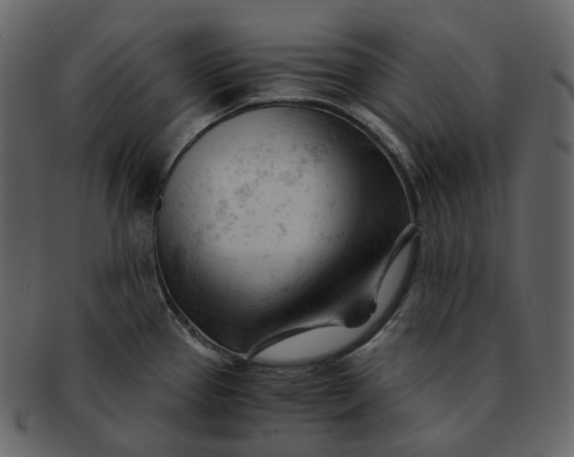 X0000092311337200710051231