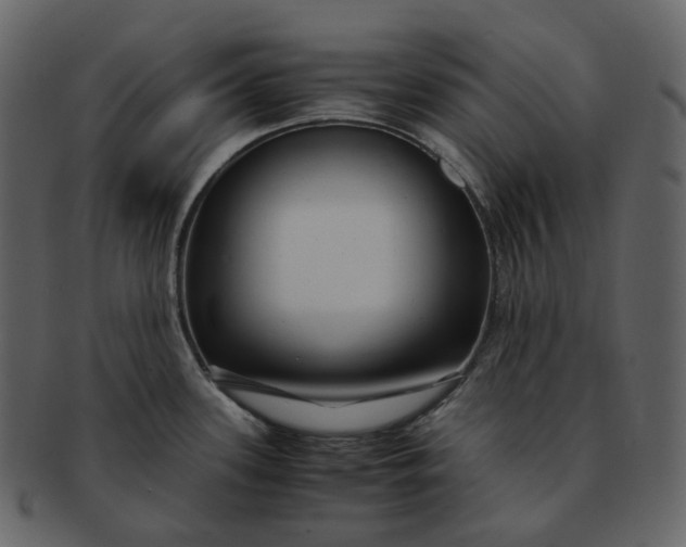 X0000092311339200710051231