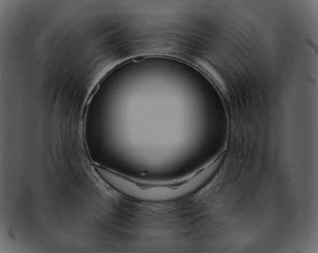 X0000092311340200710051231