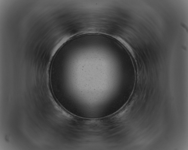 X0000092311341200710051231