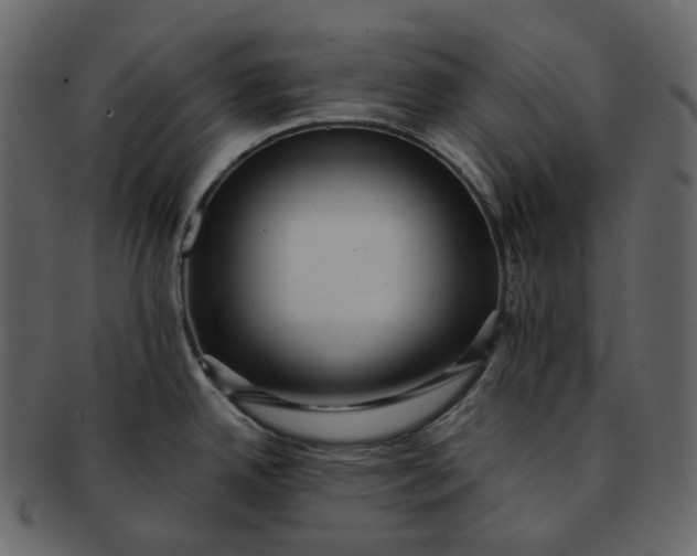 X0000092311342200710051231