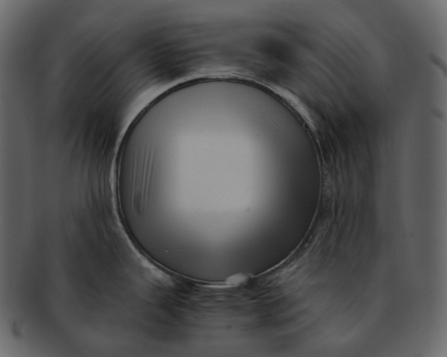 X0000092311343200710051231