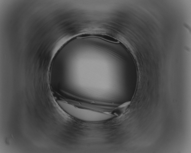 X0000092311344200710051231