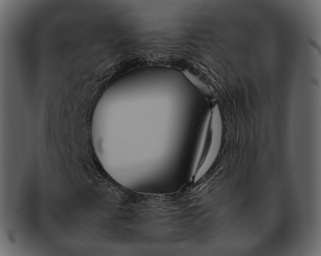 X0000092311345200710051231