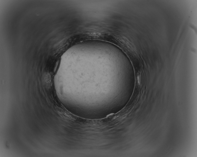 X0000092311347200710051231
