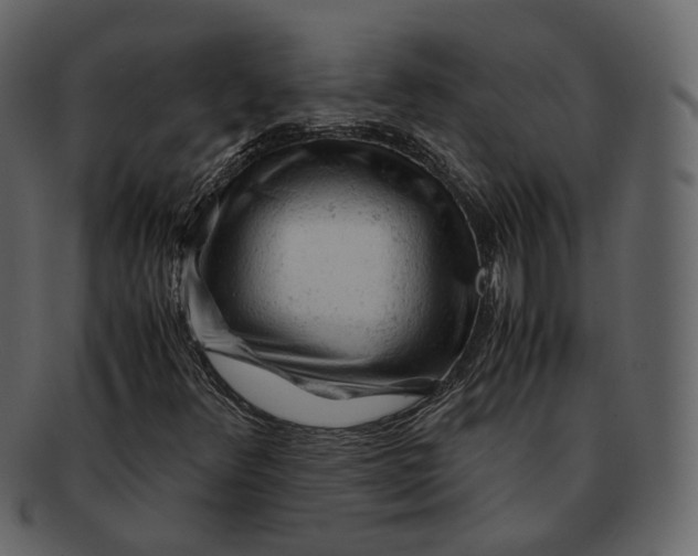 X0000092311348200710051231