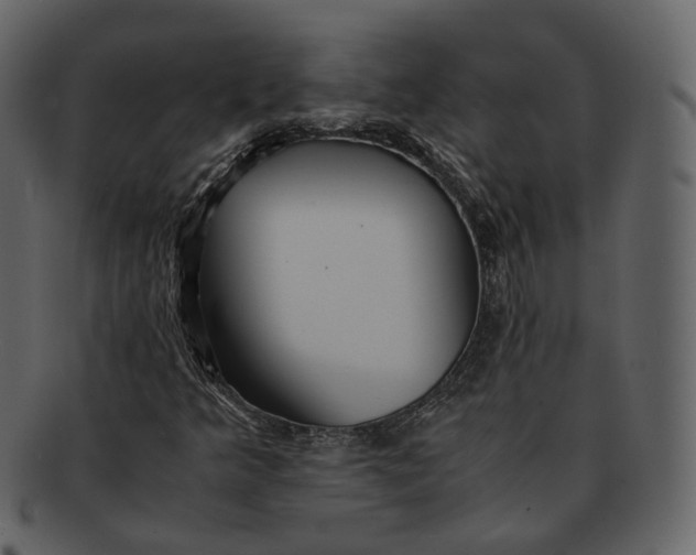 X0000092311349200710051231