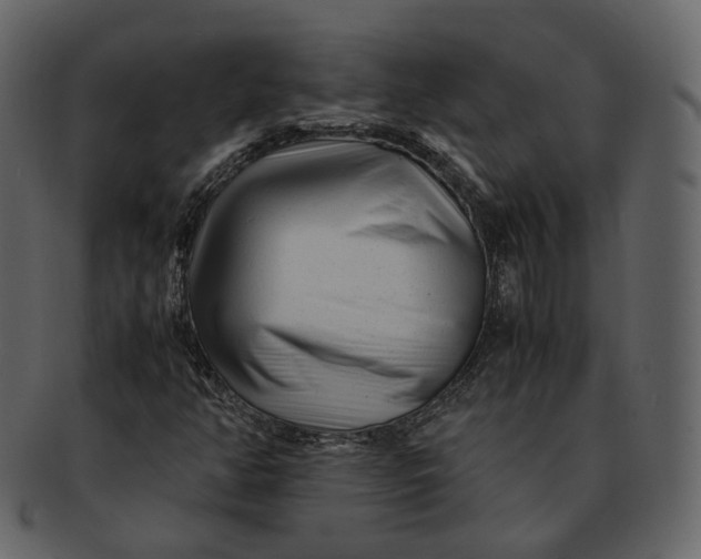 X0000092311350200710051231