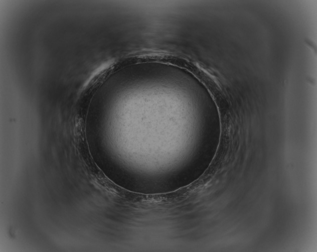 X0000092311351200710051231