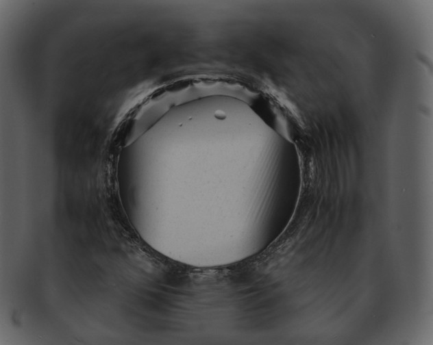 X0000092311352200710051231