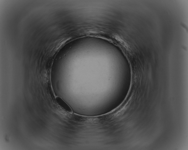 X0000092311353200710051231