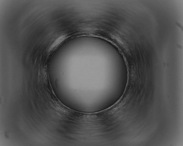X0000092311354200710051231