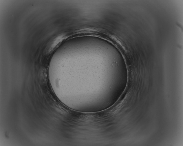 X0000092311355200710051231