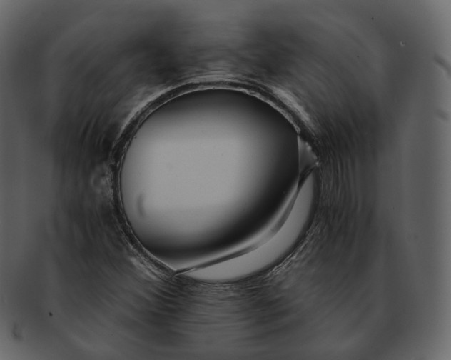 X0000092311356200710051231