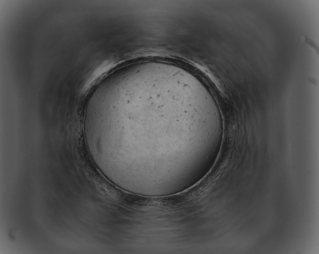 X0000092311359200710051231