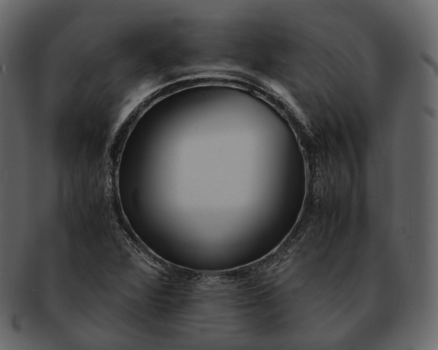 X0000092311360200710051231