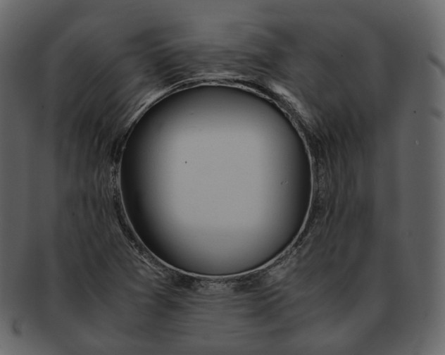 X0000092311361200710051231