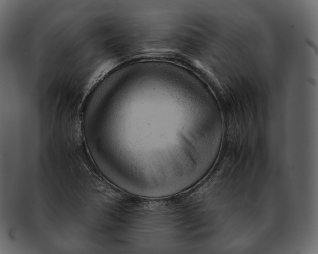 X0000092311362200710051231
