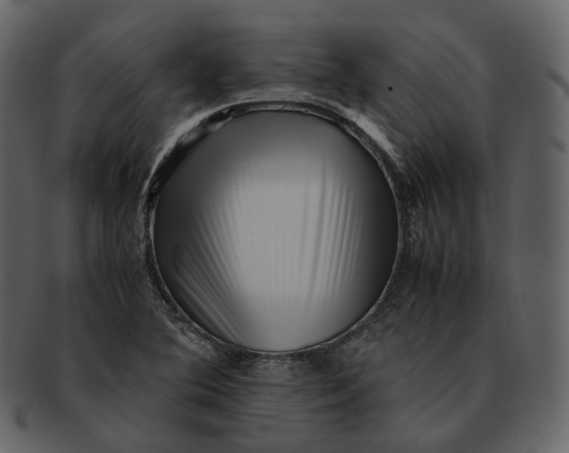 X0000092311364200710051231