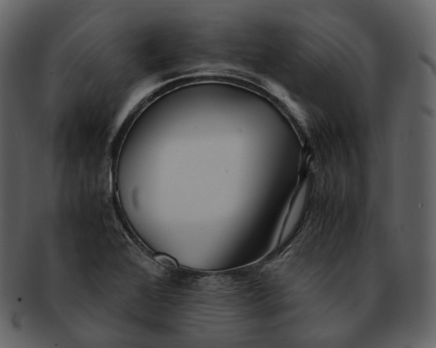 X0000092311368200710051231