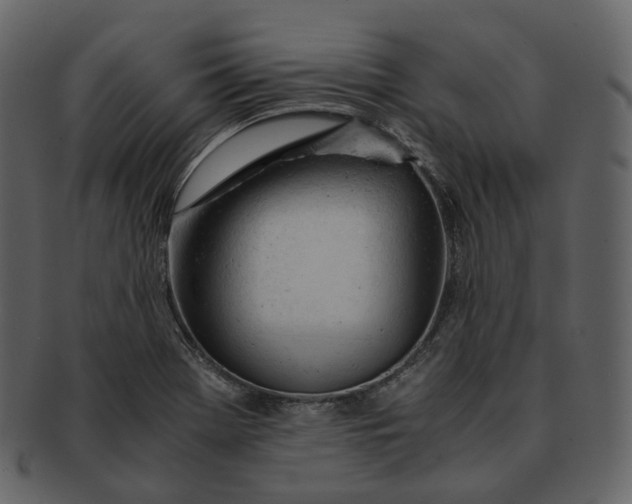 X0000092311369200710051231