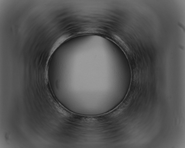 X0000092311370200710051231