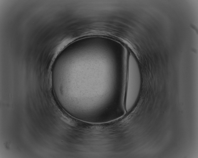 X0000092311371200710051231