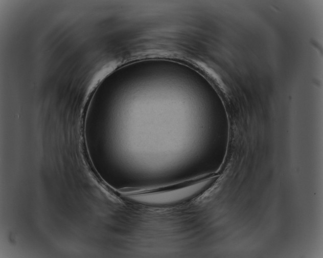 X0000092311373200710051231