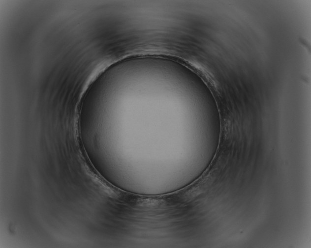 X0000092311374200710051231