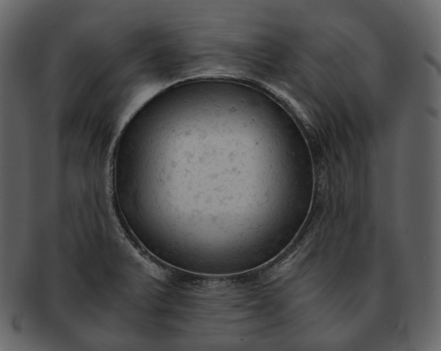 X0000092311375200710051230