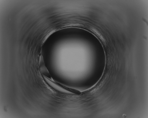 X0000092311377200710051230