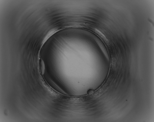 X0000092311378200710051230