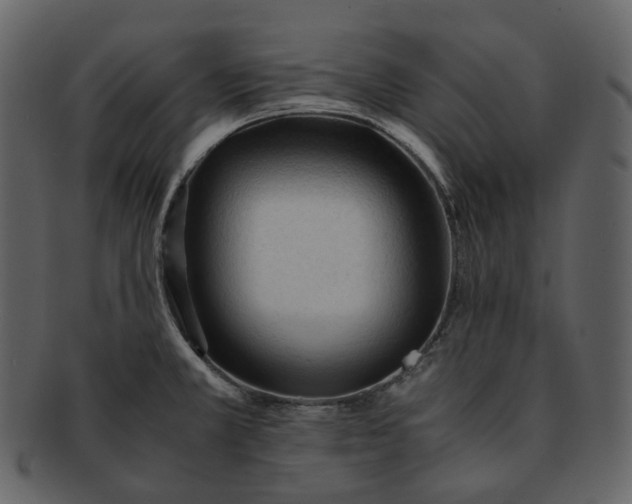 X0000092311381200710051230