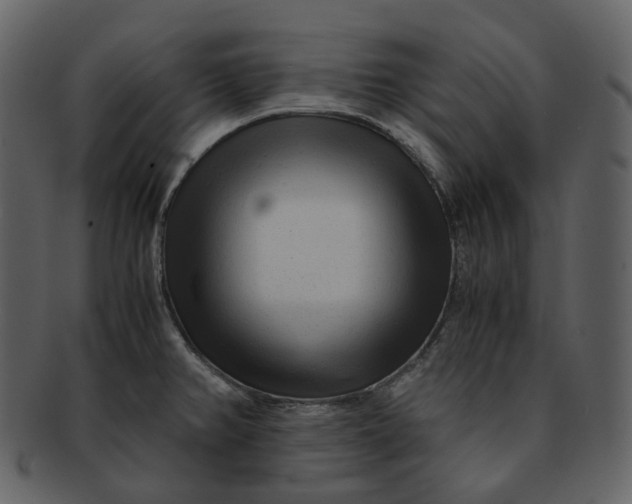 X0000092311382200710051230