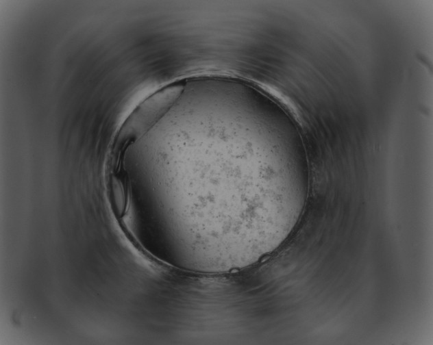 X0000092311383200710051230
