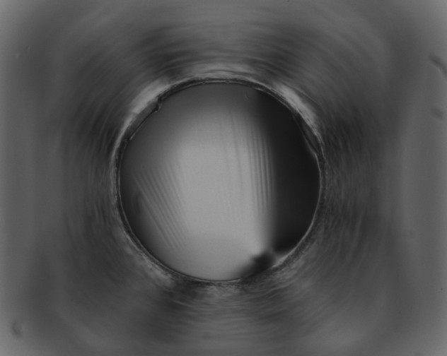 X0000092311384200710051230