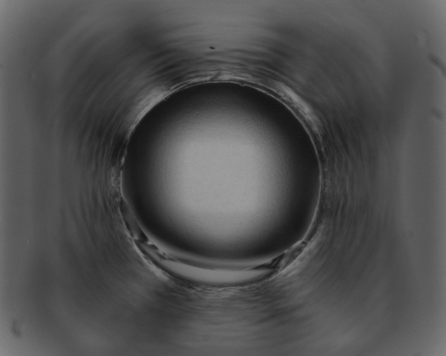 X0000092311385200710051230