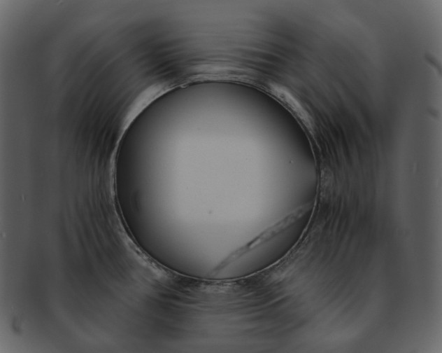 X0000092311386200710051230