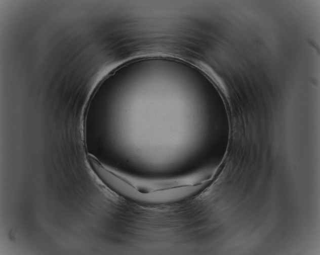 X0000092311388200710051230