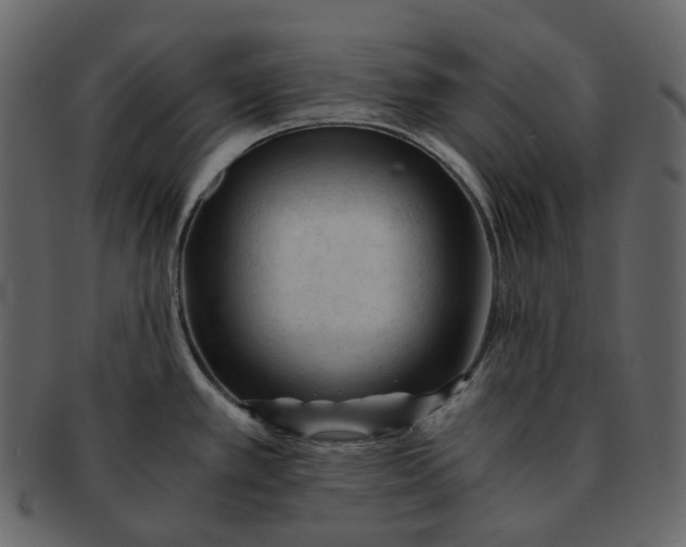 X0000092311389200710051230