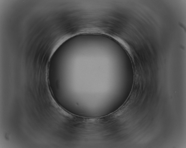 X0000092311390200710051230