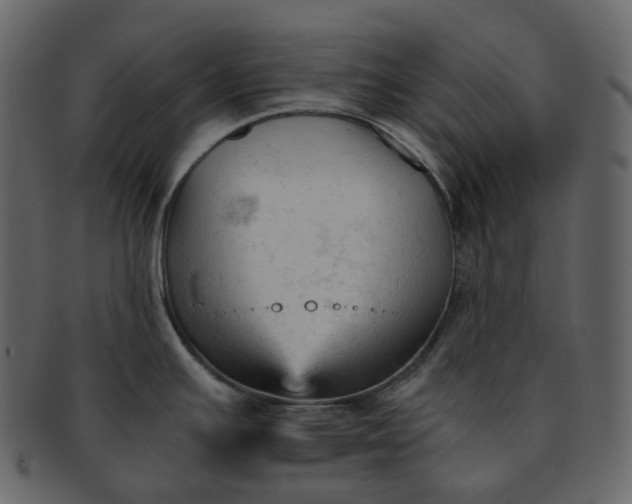 X0000092311391200710051230