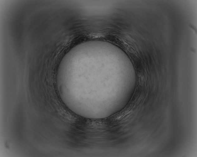 X0000092311393200710051230