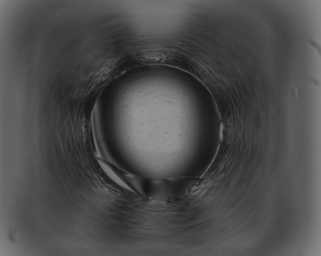 X0000092311394200710051230