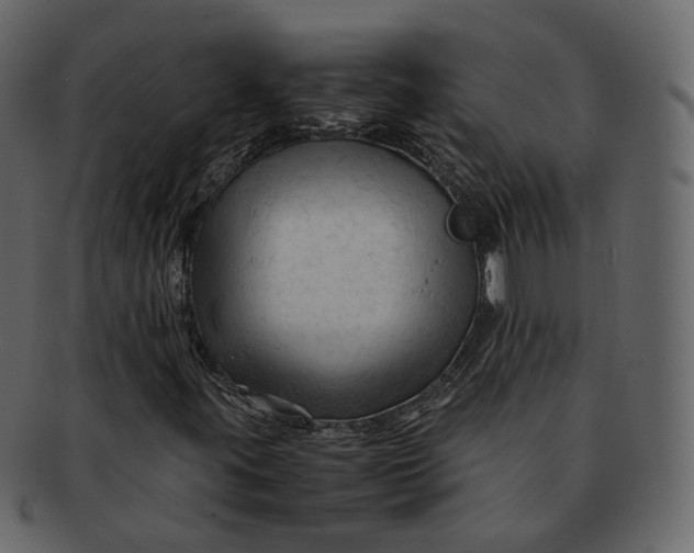 X0000092311395200710051230