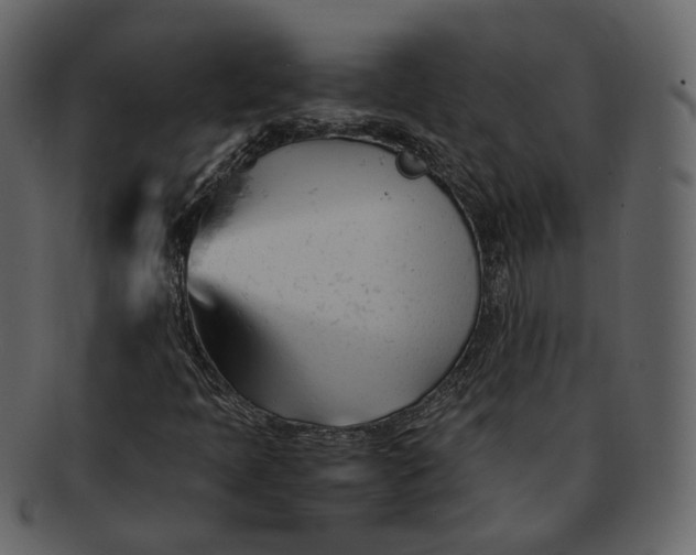 X0000092311397200710051230