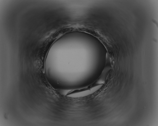 X0000092311398200710051230