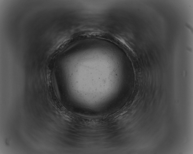 X0000092311399200710051230
